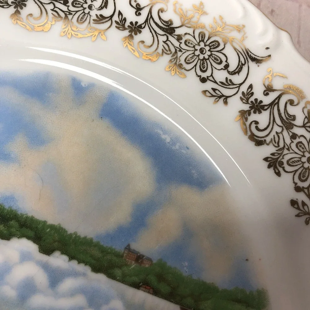 Vintage Niagara Falls NY Prospect Point Souvenir Plate Western‎ Germany 10